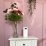 PureAire Ultrasonic Humidifier White 800ml USB