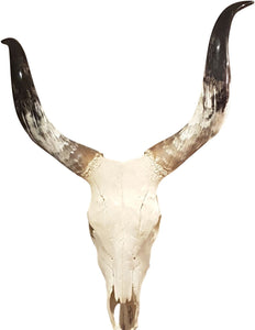 Libra Homestead Cow Skull Wall Decor Large